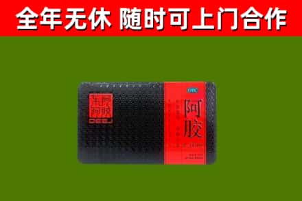 将乐回收阿胶